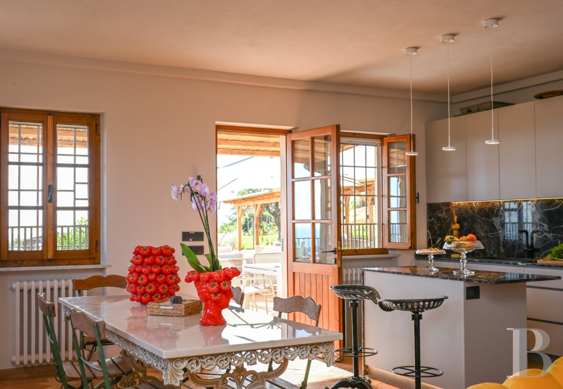 En Toscane, près de Pietrasanta, sur la côte méditerranéenne,  une maison sur les hauteurs au milieu de son oliveraie - photo  n°10